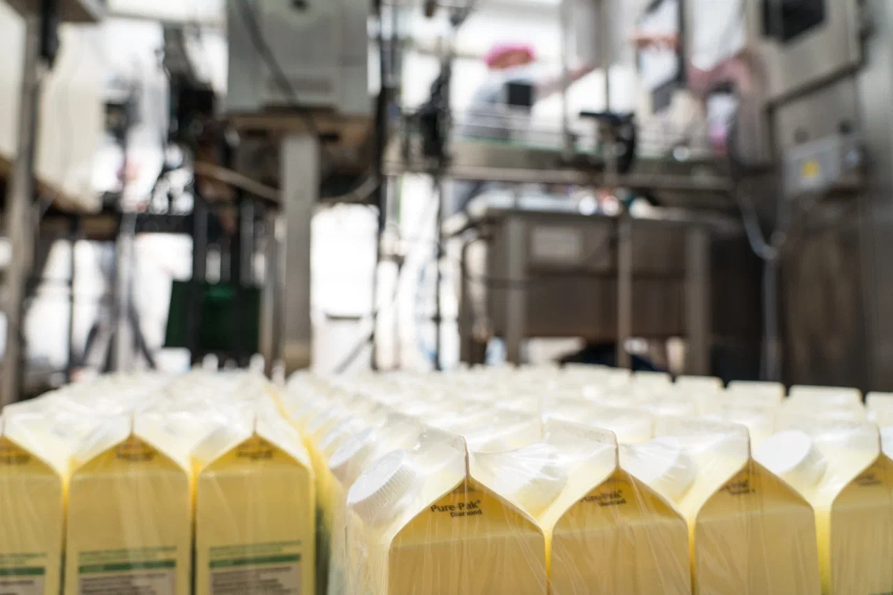 В России снижаются оптовые цены на молоко