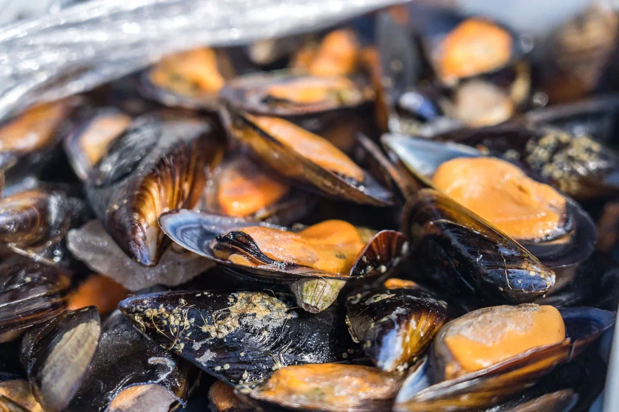 Великобритания и Новая Зеландия заявили об угрозах здоровью населения из-за незаконной продажи моллюсков и мидий