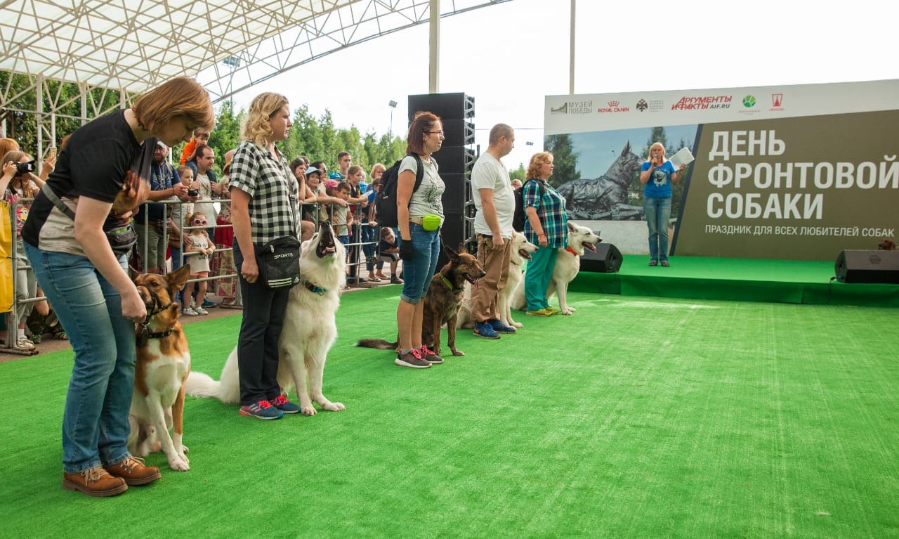 Музей Победы отметит День фронтовой собаки 20 августа