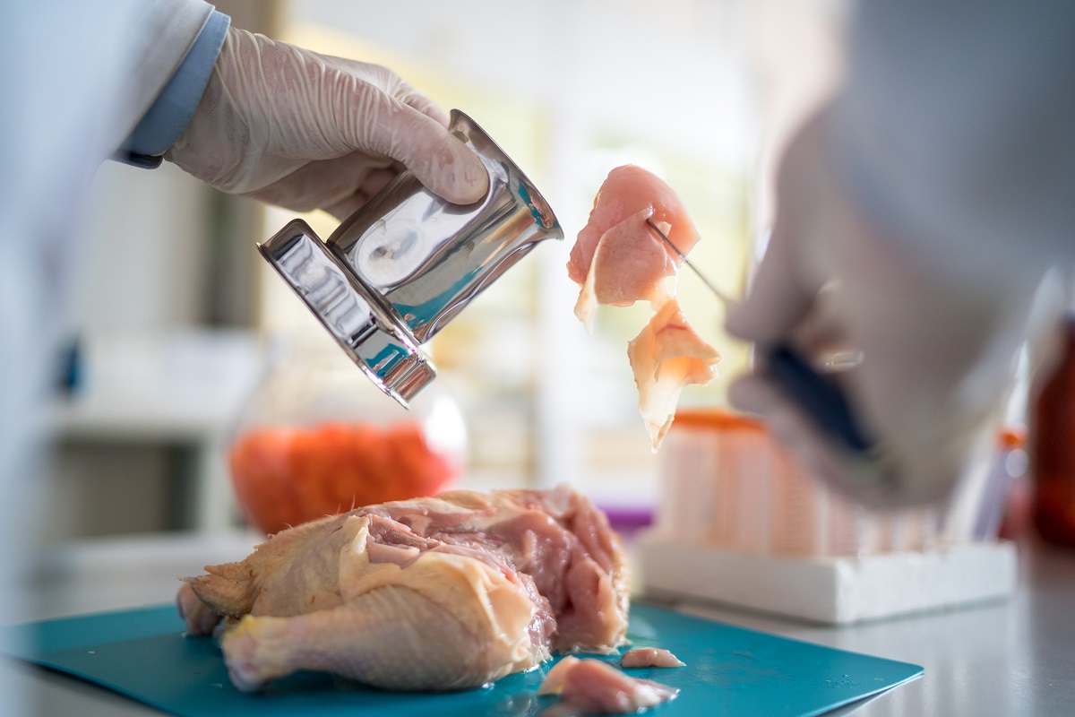 Ученые ВГНКИ разработают методику для выявления опасных стимуляторов в мясе