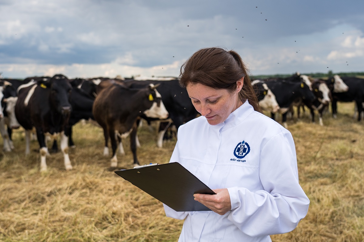 Ростовская область стала лидером в страховании животноводства в ЮФО