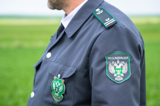 Россельхознадзор заявил о нарушениях ветслужбы Самарской области при ликвидации очагов бруцеллеза