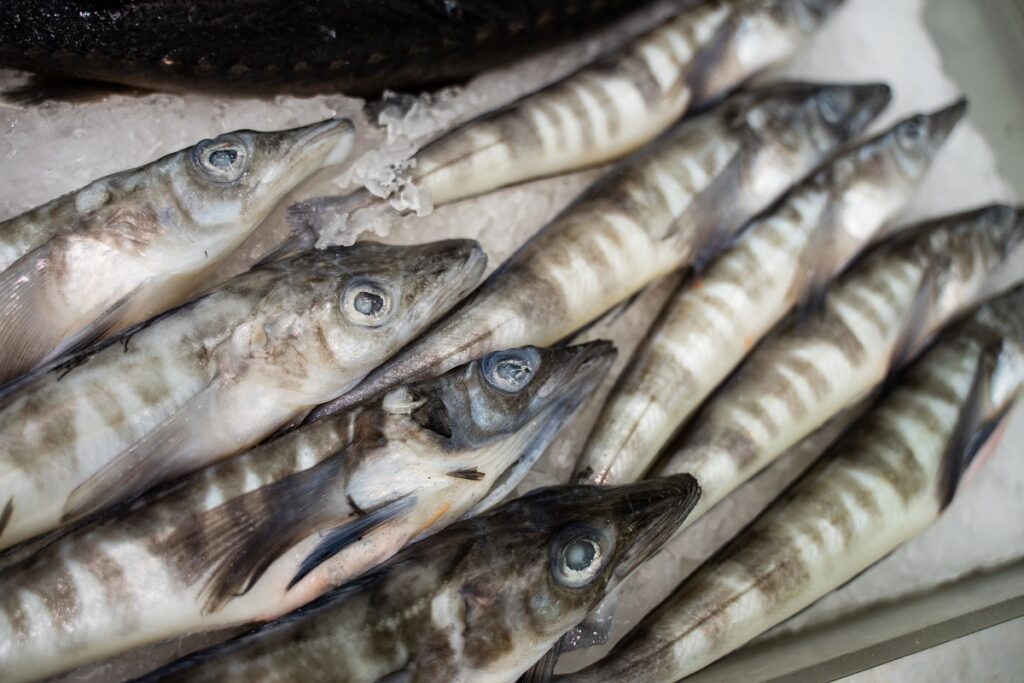 Из Ростовской области направили 2,6 тыс. тонн рыбы в ДНР и ЛНР
