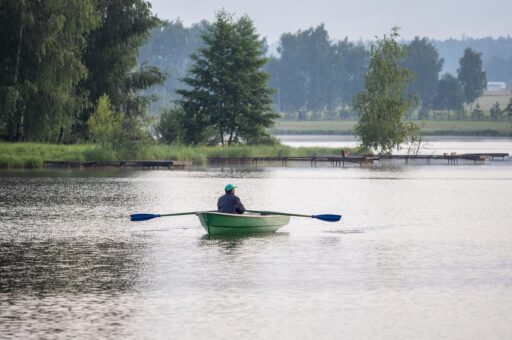 Экологи назвали вероятную причину мора рыбы в подмосковном водоеме