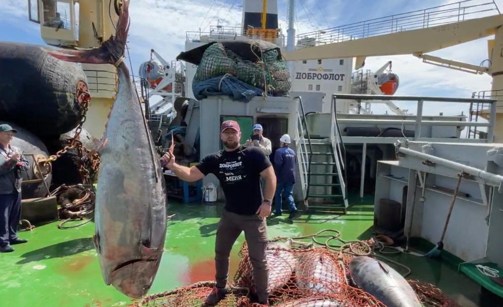 Ученые предлагают российским рыбакам начать промышленный вылов тунца