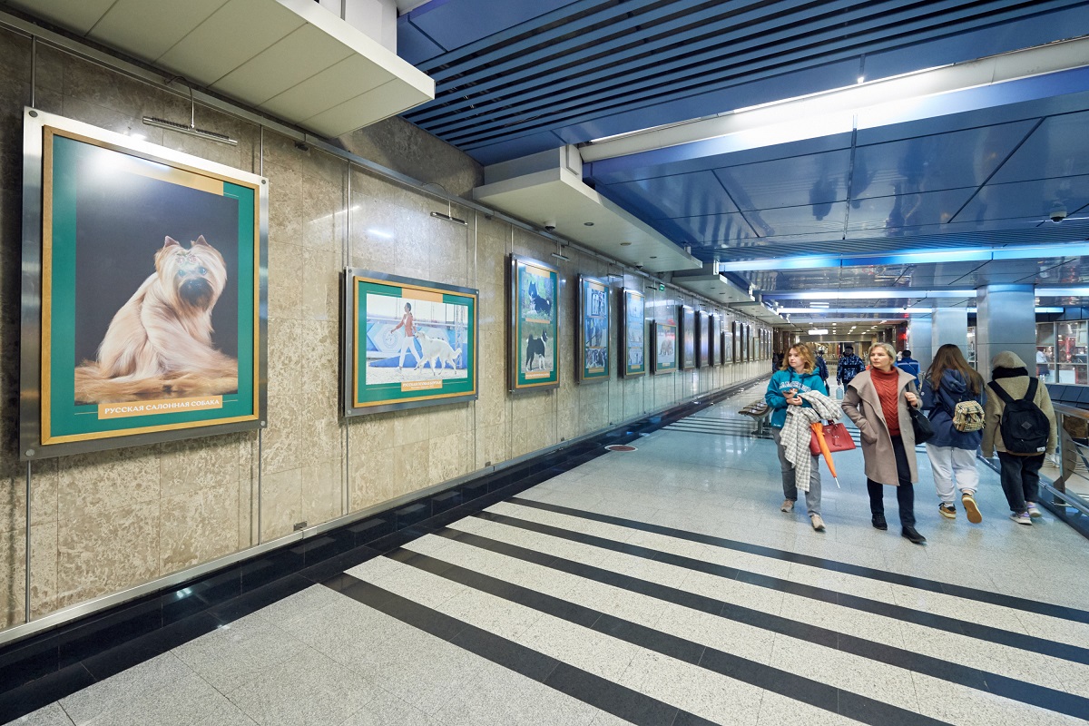 В московском метрополитене открыли фотовыставку «Отечественные породы собак»