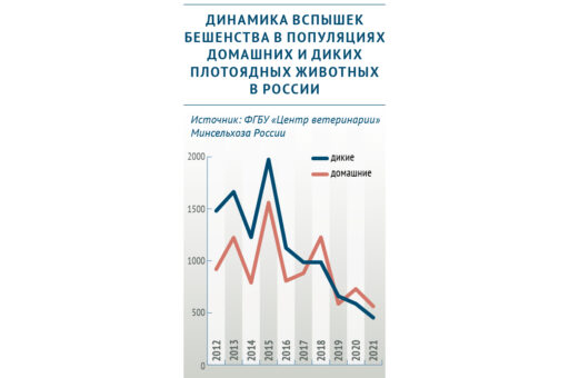 Динамика вспышек бешенства среди диких и домашних животных в РФ