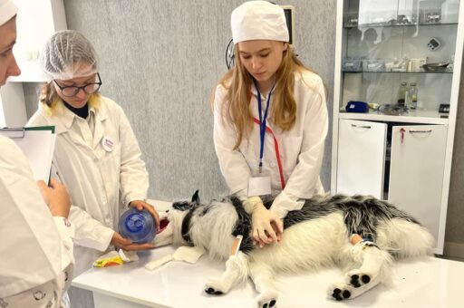 В Московской ветакадемии подвели итоги чемпионата «Молодые профессионалы»