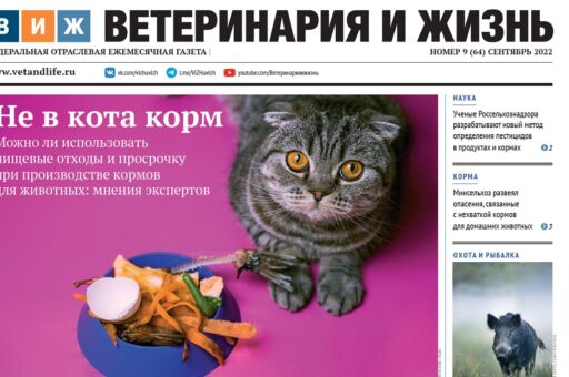 Новый выпуск «ВиЖ»: корм из отходов, смертельный укус и вакцинация от гриппа птиц