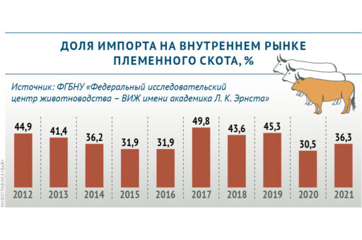 Какова доля импортного племенного скота на российском рынке