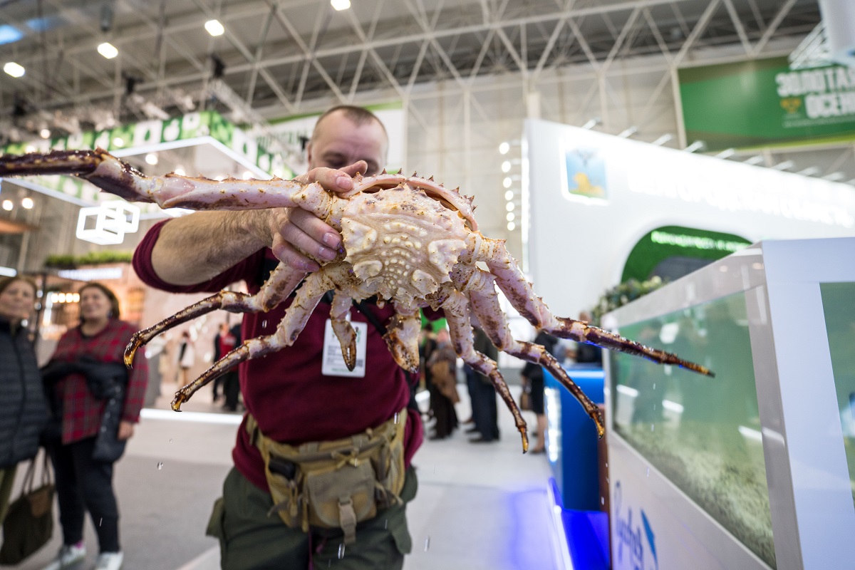 Россия нарастила поставки крабов, трески и лососевых в Китай
