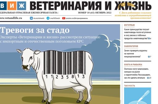 Тревоги за стадо, контроль за вирусами и убойная польза: вышел в свет новый номер «ВиЖ»