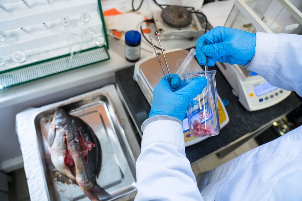 Российские ученые разработают методику определения метилртути в рыбной продукции