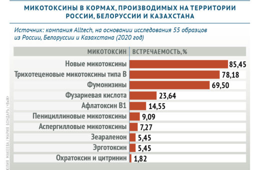Исследовано содержание микотоксинов в кормах для животных
