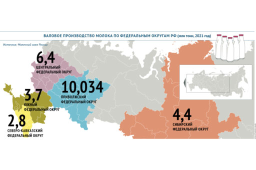 Названы лидеры по валовому производству молока в России