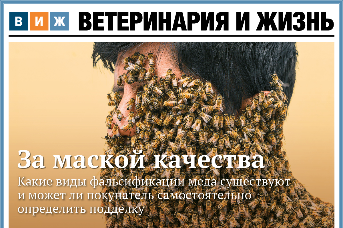 Новый выпуск «ВиЖ»: за маской качества, господдержка по требованию и перспективы российской аквакультуры