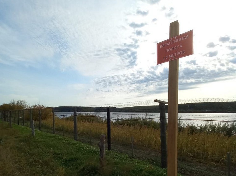 В Амурской области завершили установку карантинной полосы