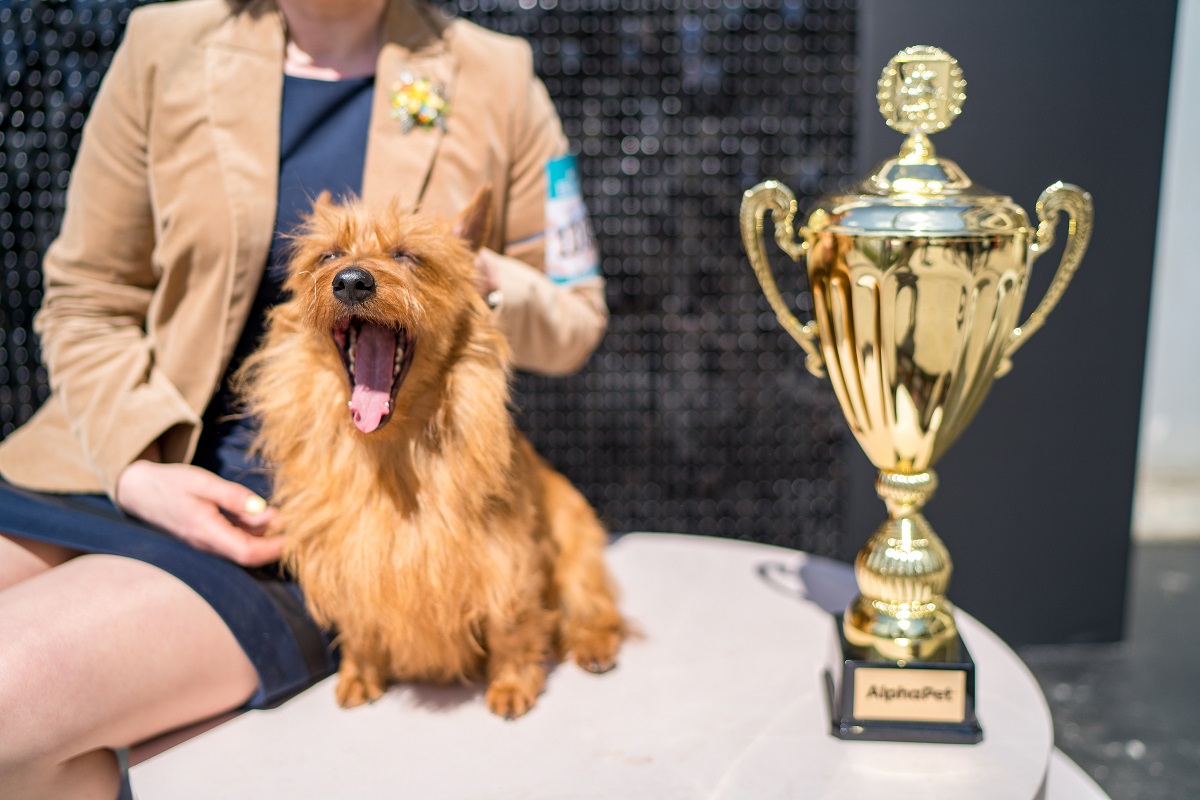 Выставка собак всех пород «Россия» соберет более 10 тыс. питомцев