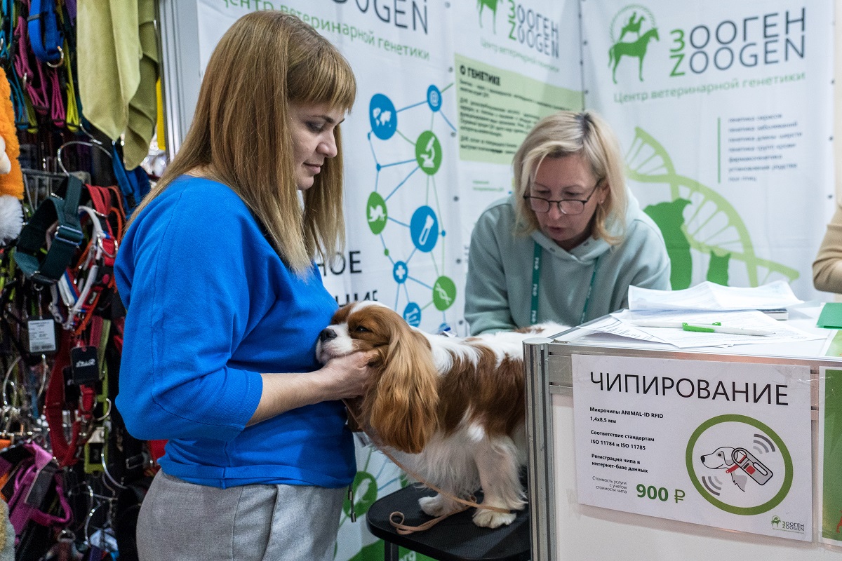В Москве продлили акцию по чипированию собак и кошек со скидкой