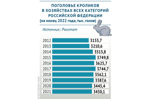 Сколько кроликов содержится в хозяйствах всех категорий РФ