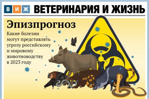 Новый номер «ВиЖ»: эпизпрогноз, икра в имитацию и угнаться за кроликом