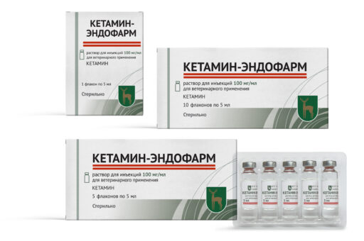 В России зарегистрировали новый ветпрепарат для наркоза кошкам и собакам