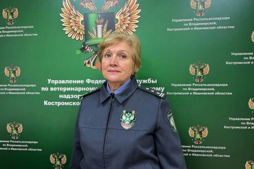 Представляем работу, поступившую на конкурс в номинацию «Жизненная позиция»
