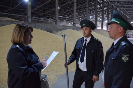 Представляем конкурсную публикацию в номинации «Лучший фоторепортаж о деятельности Россельхознадзора»