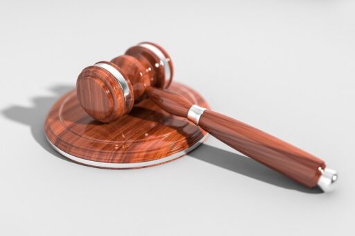 Верховный суд признал право владельца погибшего животного на компенсацию морального вреда