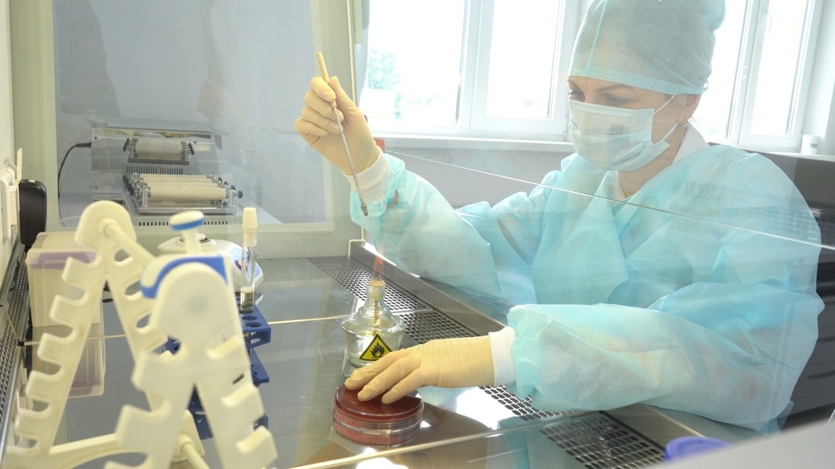 Российские ученые разработали добавки для повышения иммунитета скота