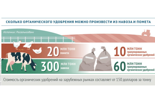 Сколько органического удобрения можно произвести из навоза и помета