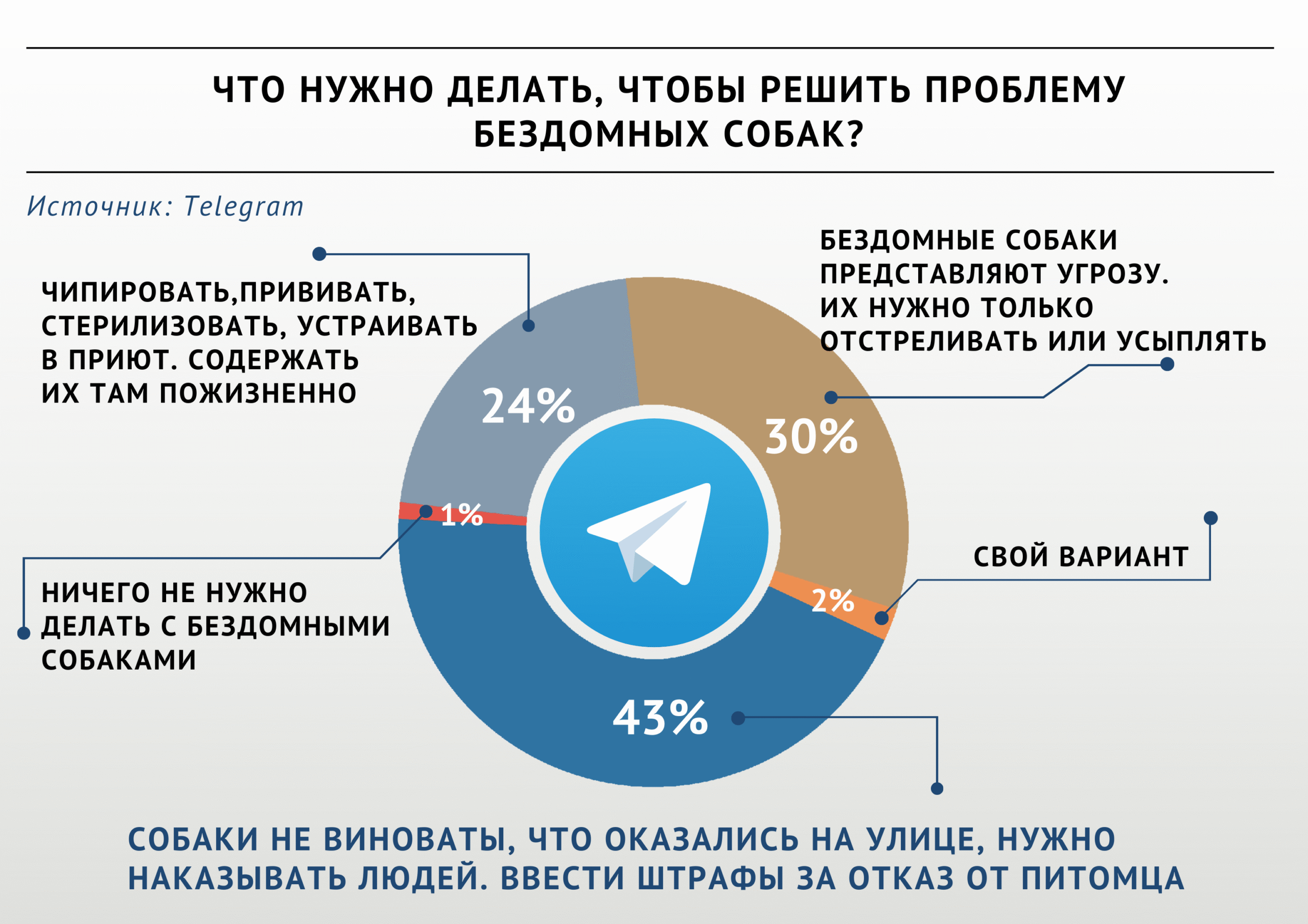 Опрос «ВиЖ»: как решить проблему бездомных собак?