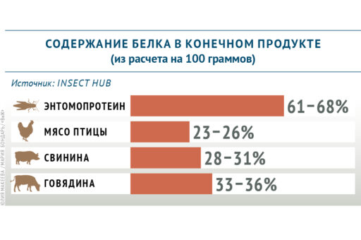 Какая продукция содержит больше белка