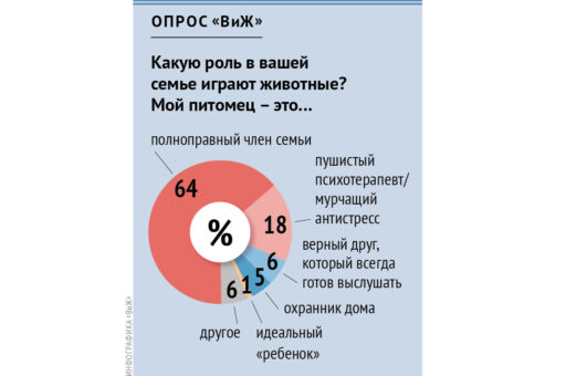 Полноправными членами семьи считают питомцев 64% участников опроса «ВиЖ»