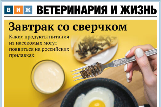 Новый номер «ВиЖ»: завтрак со сверчком, чихающий теленок и рыба токсичных оттенков
