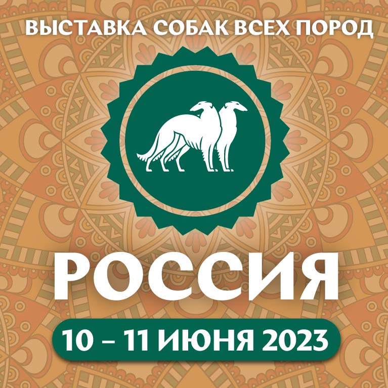 Выставка собак «Россия 2023», г. Москва, 10-11.06.2023 г.