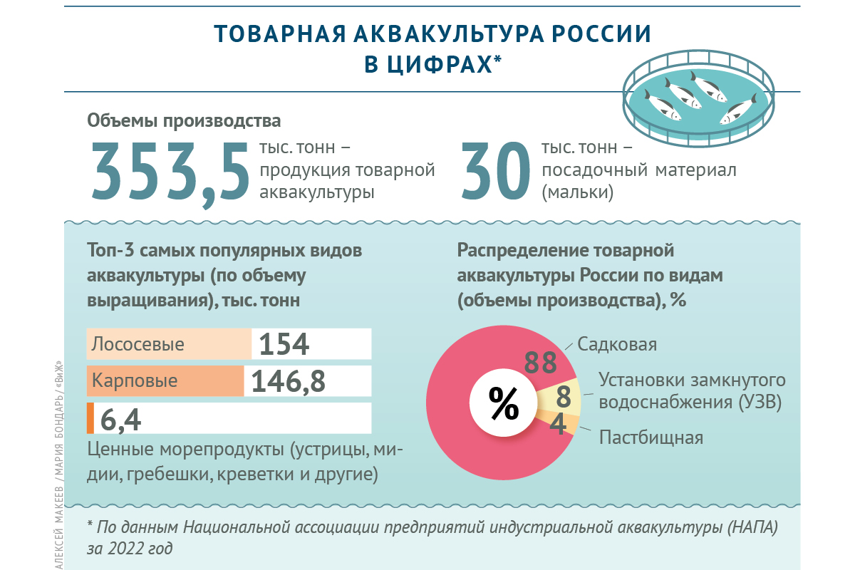 Эксперты назвали топ-3 популярных видов аквакультуры в РФ