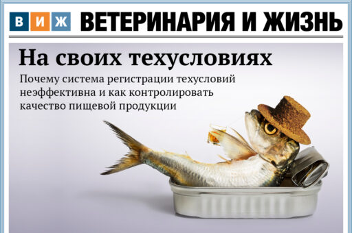 Новый номер «ВиЖ»: на своих техусловиях, лучший друг на службе и трансформация ветобразования