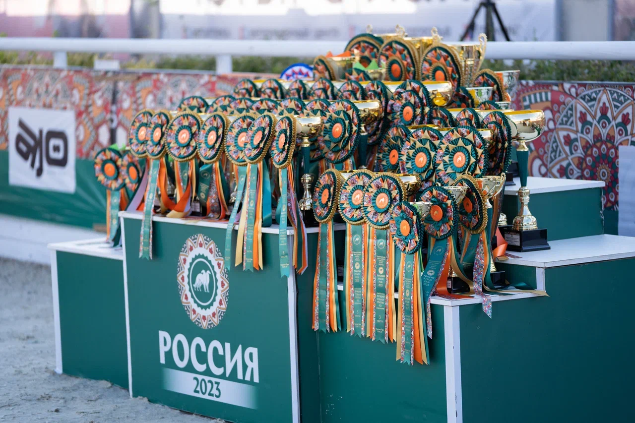 Выставка «Россия 2023» собрала свыше 7 тыс. породистых собак – фоторепортаж