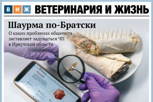 Новый выпуск «ВиЖ»: риски общепита, корм с подвохом и вакцина из будущего