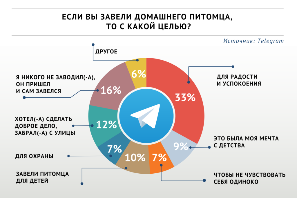 Участники опроса «ВиЖ» рассказали, для чего завели домашнего питомца