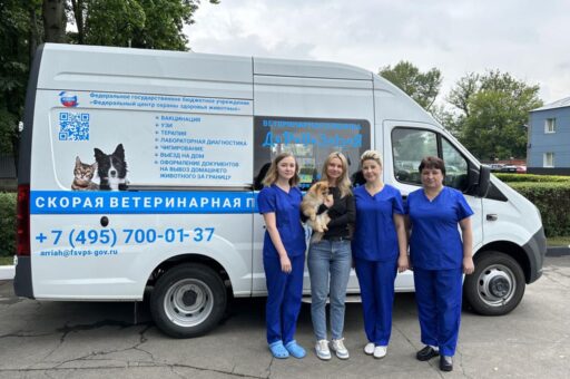 В Москве заработала скорая помощь для собак и кошек