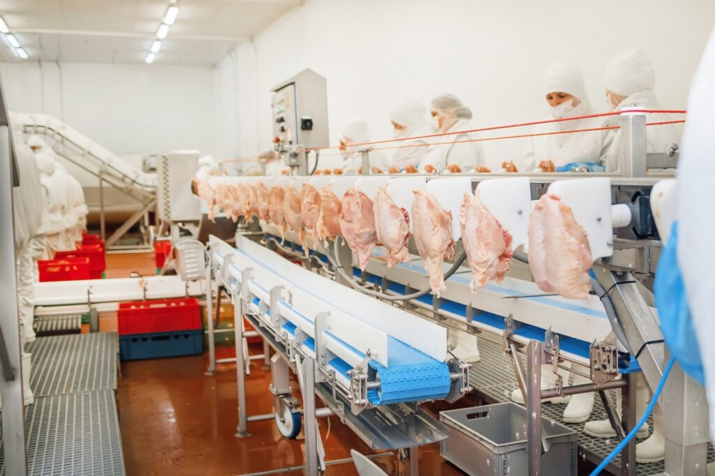 Бразильский экспорт курятины в августе вырос на 2,1%