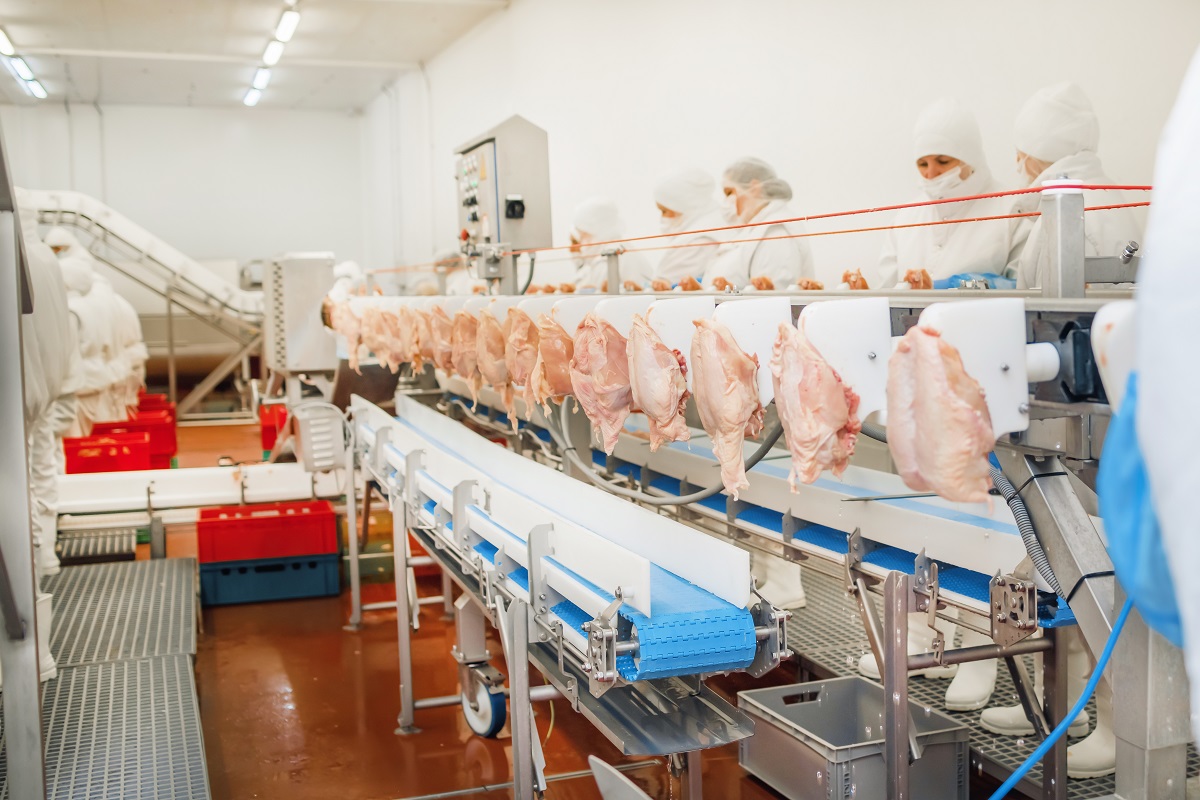Белгородская область стала лидером в РФ по производству мяса в 2023 году
