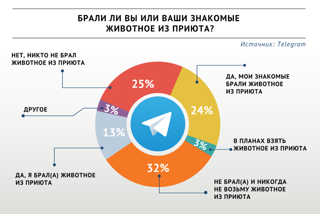 Большинство участников опроса «ВиЖ» никогда не возьмут животное из приюта