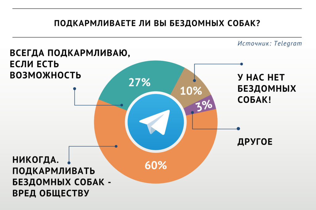 Большинство участников опроса «ВиЖ» считают, что подкармливать бездомных собак вредно