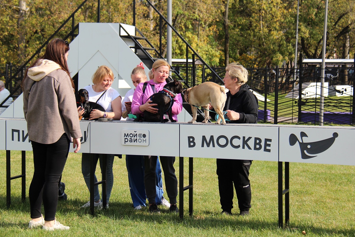 Сергей Собянин открыл в Москве парк для домашних животных | Ветеринария и  жизнь