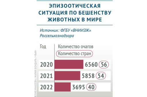 Количество очагов бешенства животных в мире уменьшается