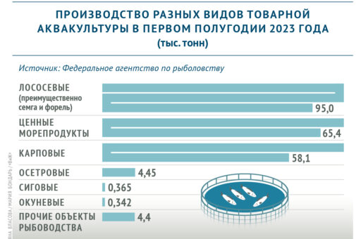 Какие виды рыб разводят в аквакультурных хозяйствах России