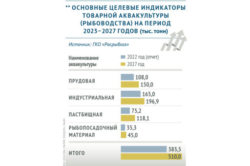 На сколько вырастут объемы производства товарной аквакультуры к 2027 году в РФ